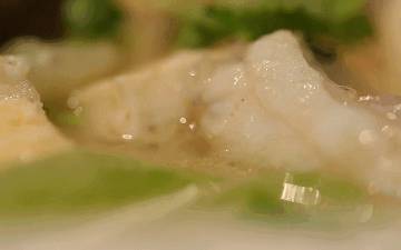 新加坡解封後,遛娃+逛街兩不誤!首家免費“水族館”來了