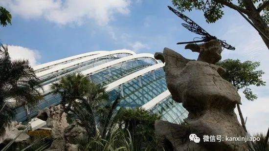 【下周活动】新加坡动物园门票75折+5新币餐券!A&F清仓半价