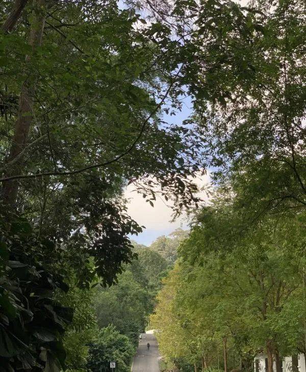 新加坡雖小，風景卻不少，這些自然公園你聽過嗎