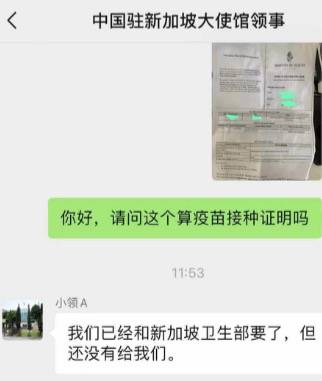 在新加坡打疫苗後，血檢陽性怎麽回國？大使館連發三規定！最新入境政策彙總