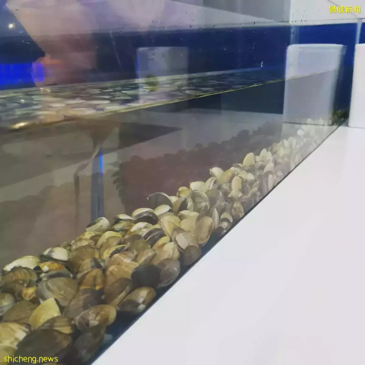 100%新活现捞啦啦米粉!网红店Wawa Lala开到Bugis啦