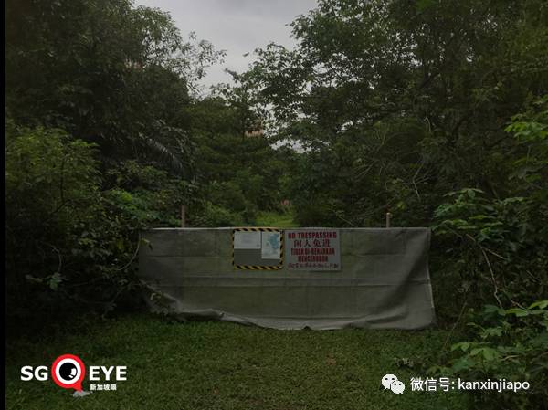 昨天小長假人山人海，武吉知馬老鐵路成新景點！前生今世大揭秘