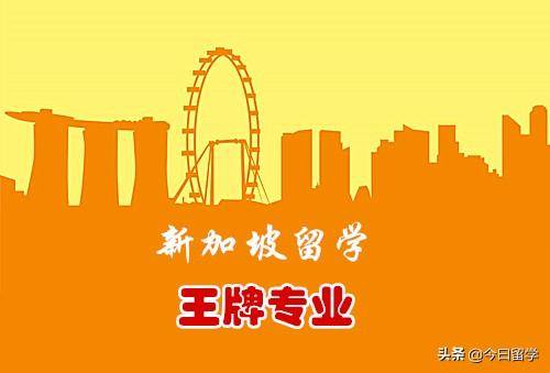 新加坡留学有哪些王牌专业