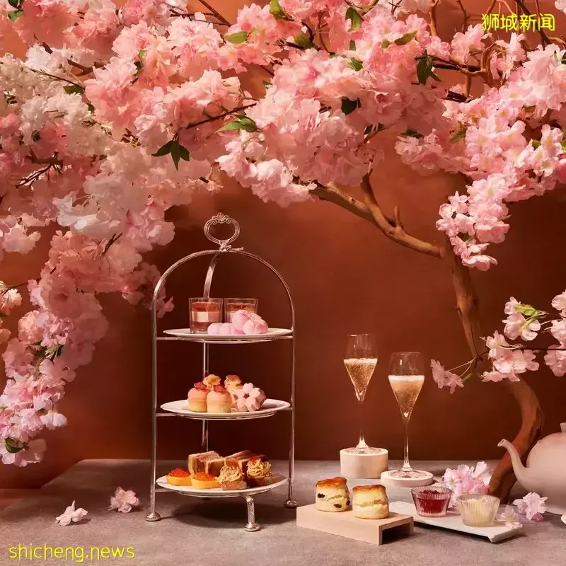 火速冲去吃😍精选新加坡2022年樱花美食🌸春季美味限定，感受你的少女心砰砰跳