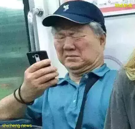 橫跨全島,我娃也要到這裏來玩,這個新加坡最佳遛娃地到底有什麽魅力