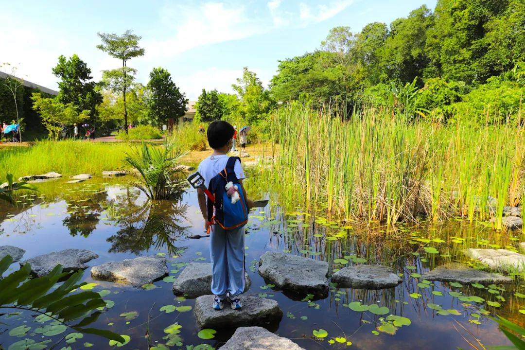 3天小長假！請來新加坡最美的濕地，超500種熱帶動植物免費看