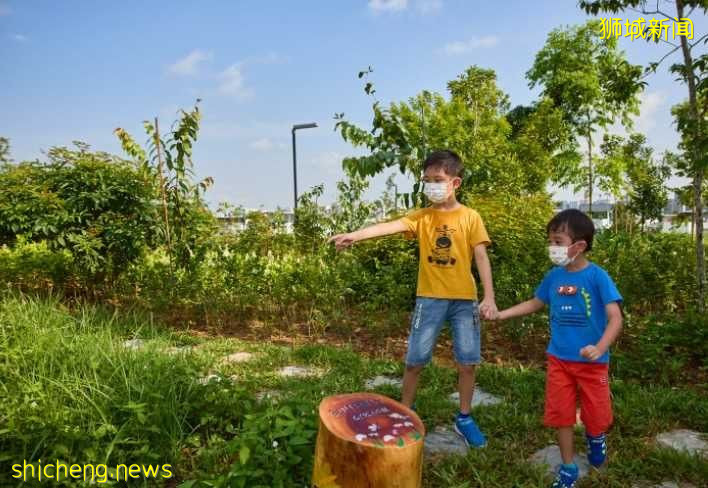 新加坡武极甘柏公园开幕！快来看看吧