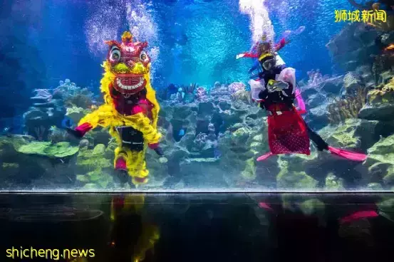 看看東南亞國家年味十足的農曆新年吧