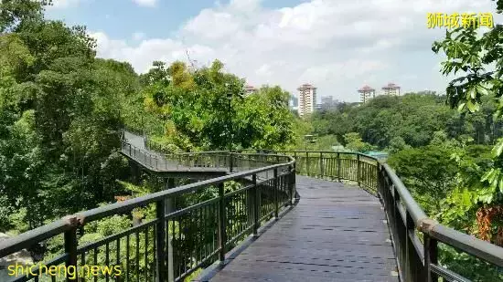 降溫政策下，新加坡樓市銷冠逆勢漲價！是誰，這麽牛