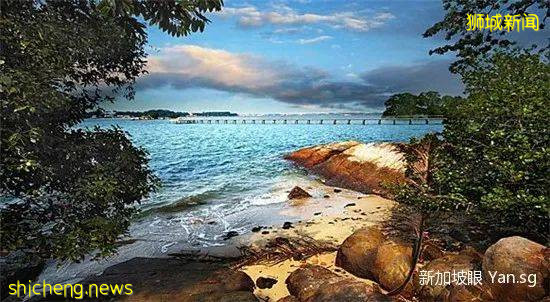 誰說新加坡沒有愛情?這10個地方,情侶一定要去