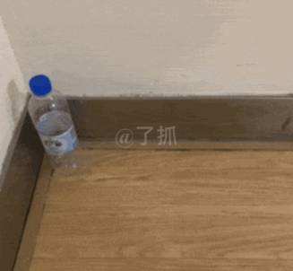 多圖哦!從機票購買到酒店集中隔離,疫情期間歸國全記錄!