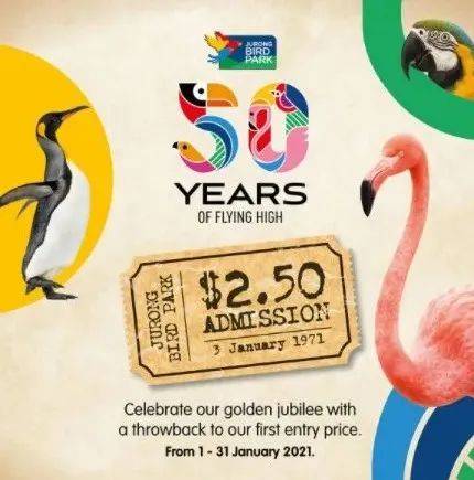 【周末去哪玩？】晝夜璀璨藝術節、海底春意濃、牛牛派對、大麗花之夢等等好玩等你來