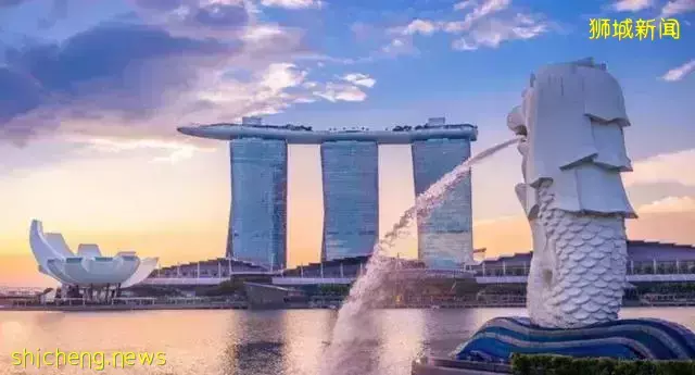 新加坡教改：取消中学分流，人才保底不封顶 