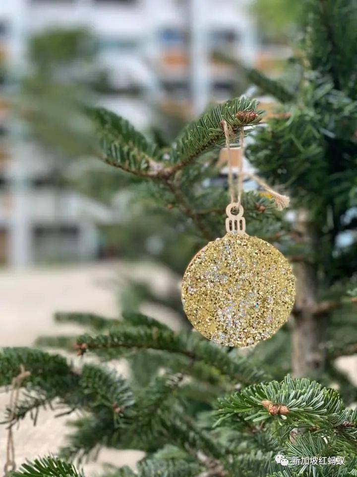 無須到烏節路人擠人，也能在組屋區感受溫馨的聖誕氛圍