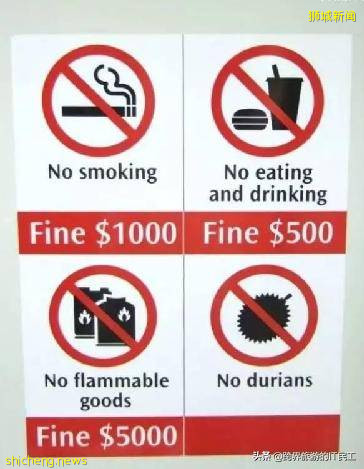 發達國家新加坡,有哪些令人奇怪的規定