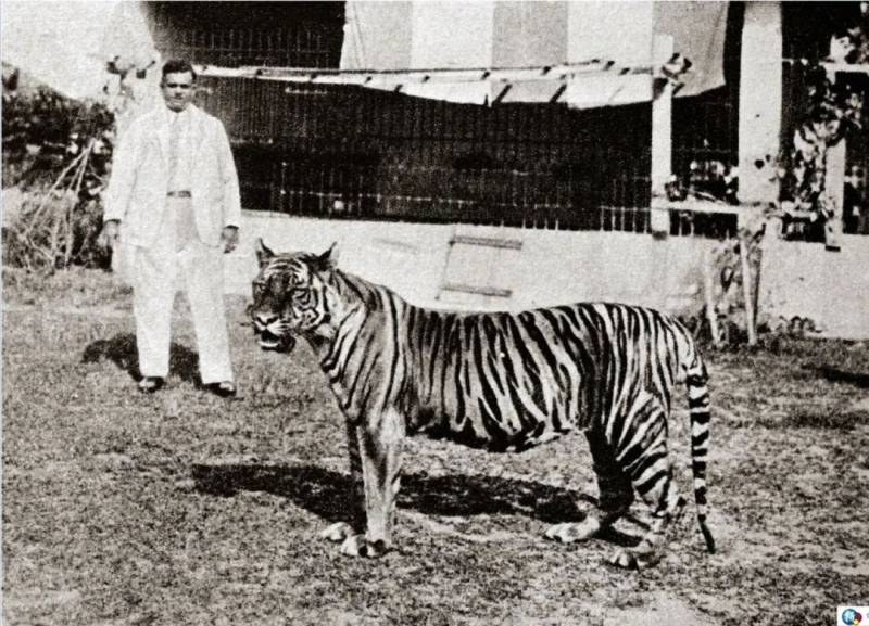 榜鵝:客路豬寮外行舟綠水前