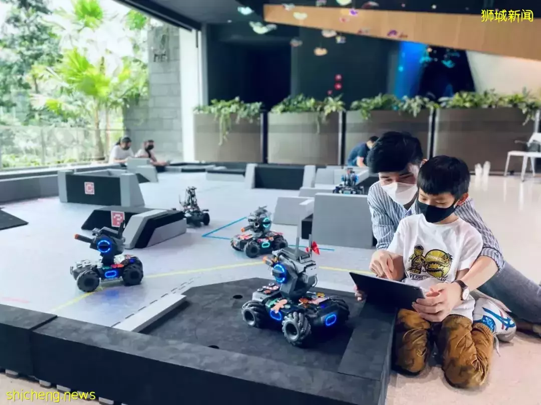 爆火的机场1夜露营又来啦！仅$78还送河川动物园门票