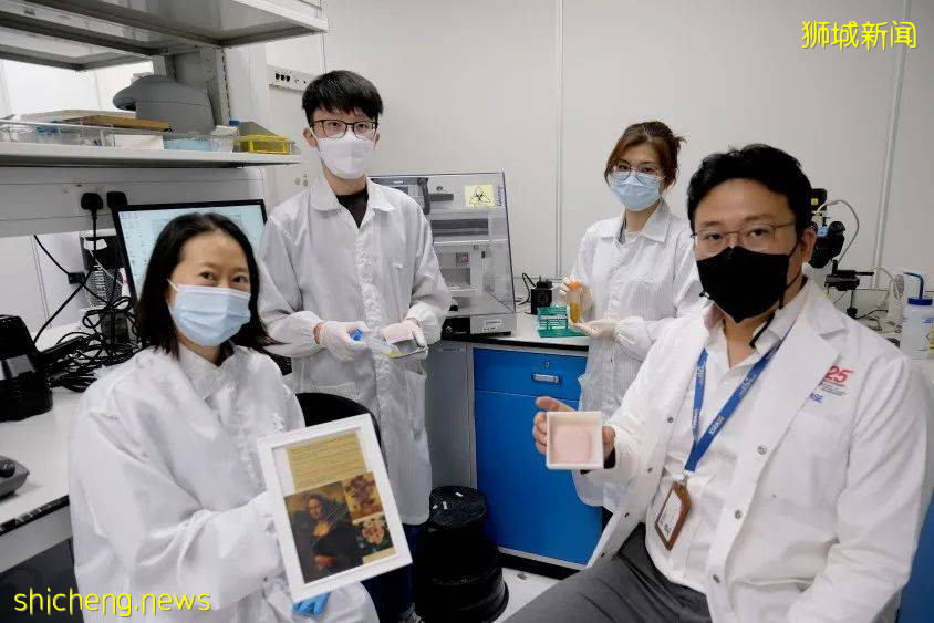 花粉用于3D打印？NTU 团队做到了