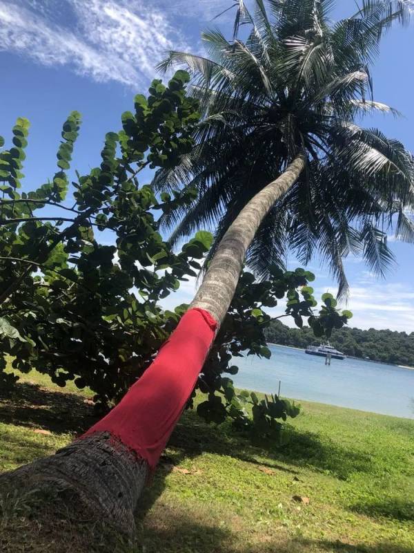 精彩国内游:新加坡南部岛屿休闲之旅