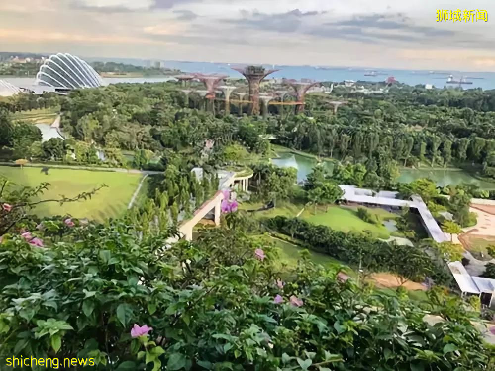 新加坡是怎樣一步步成爲“花園城市”的!