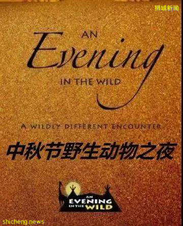 新加坡 中秋节野生动物之夜！酷炫探险~帐篷晚餐~赏月之旅