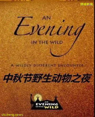 新加坡 中秋節野生動物之夜!酷炫探險~帳篷晚餐~賞月之旅