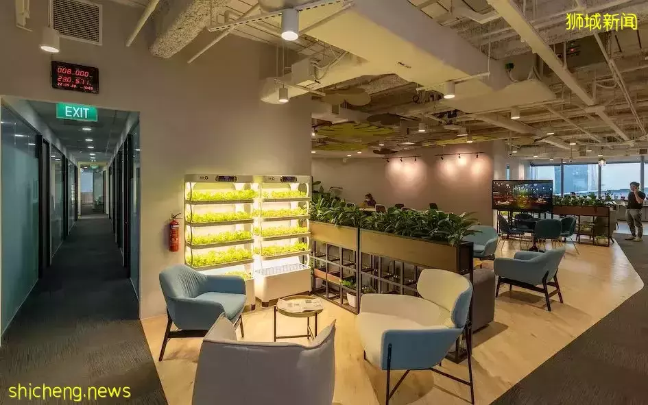 新加坡英文媒體也來采訪報道O2Work 了