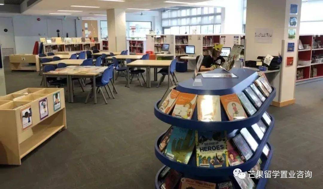 “明星國際學校”——新加坡史丹福美國國際學校