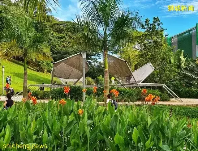 告別“塑料遊樂場”，看新加坡的公園如何诠釋“高大上”
