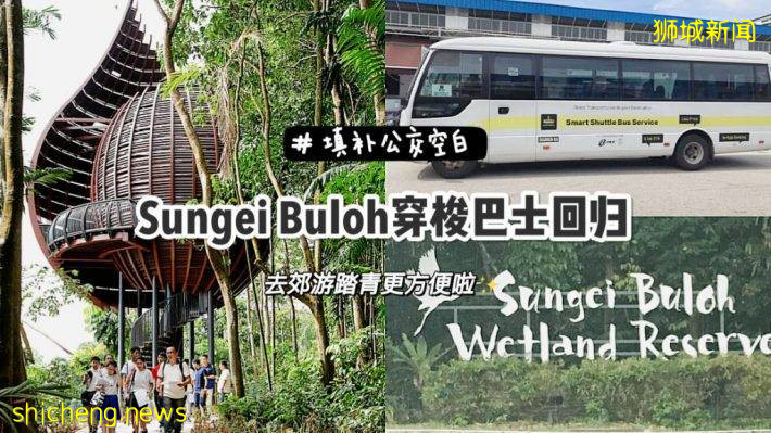 探索Sungei Buloh更便捷新方式：1塊錢的Shuttle Bus又回來了
