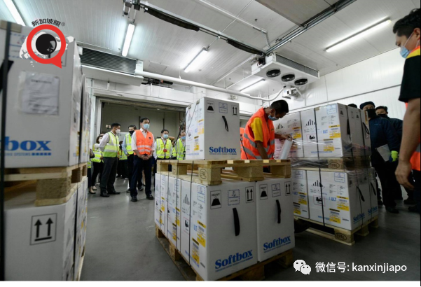 万众瞩目！新加坡买的首批疫苗昨晚抵达了！SQ7979好样滴~