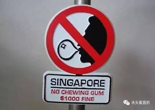 有什么是你去过新加坡才知道的