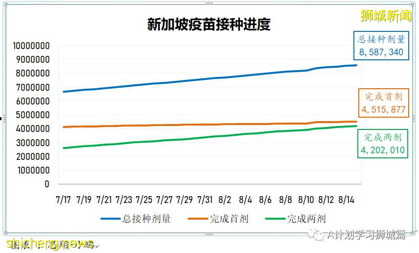 8月17日，新加坡疫情：新增56起，其中本土52起，輸入4起；又一名小五生確診