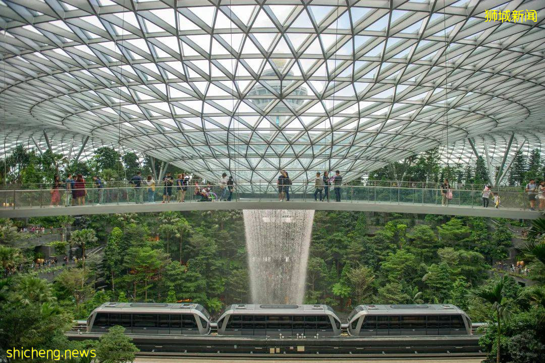 这个520,狮城拍了拍你并与你“新”动有约