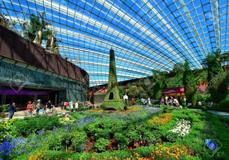 走，去“花園中的城市”新加坡賞櫻