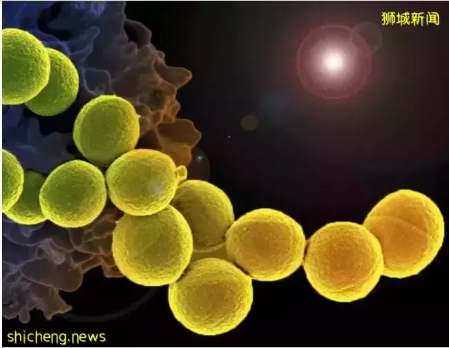 重磅！新加坡胖子們可以“躺平”減肥啦！中國科學家發現燃燒脂肪“靶點”