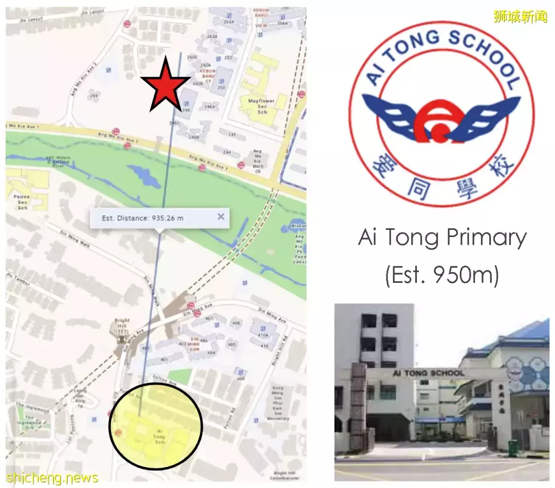 新加坡買房 AMO Residence宏茂橋雙學區 近地鐵公園 完美樓盤