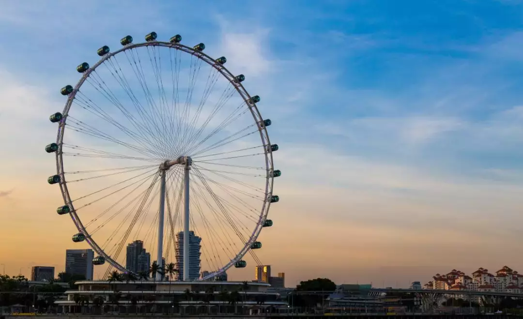 干货，一篇文章教你玩转新加坡SRS账户