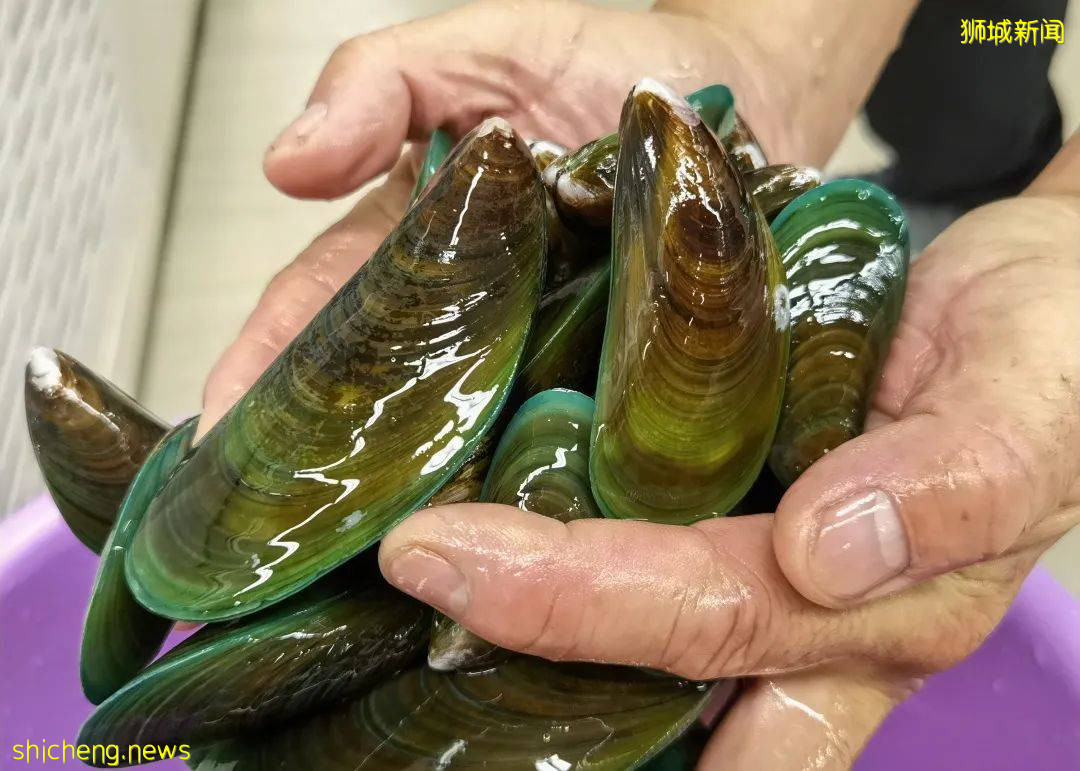 新加坡再次解封後，這家中國超市火了！80多種海鮮$2起！小龍蝦辣條包點東北大米扛回家