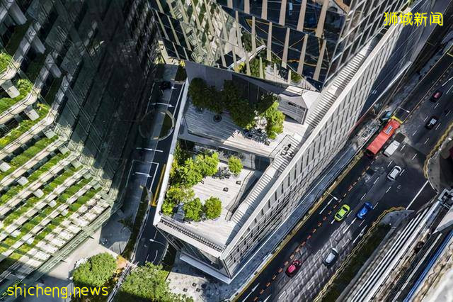 新加坡一“老牌”商场,辉煌百余年,如今低价甩卖,宣布破产