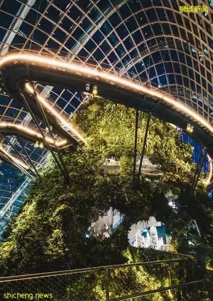 亚洲首个可“滑雪”滑水滑板场馆登陆新加坡!S.E.A海洋馆又迎全面升级