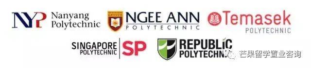 了解新加坡公立/私立/國際學校、理工/藝術/教育模式