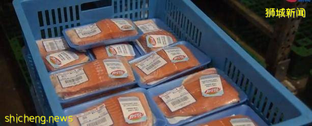 狮城渔港感染群 迅速启动替代方案 · 海鲜货源充足