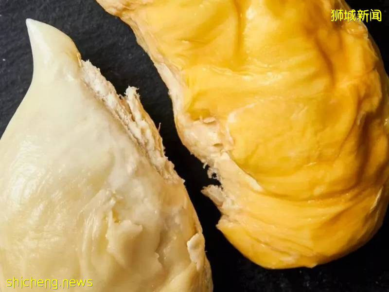 疫情下新加坡榴梿價格更劃算？請查收你的專屬榴梿!