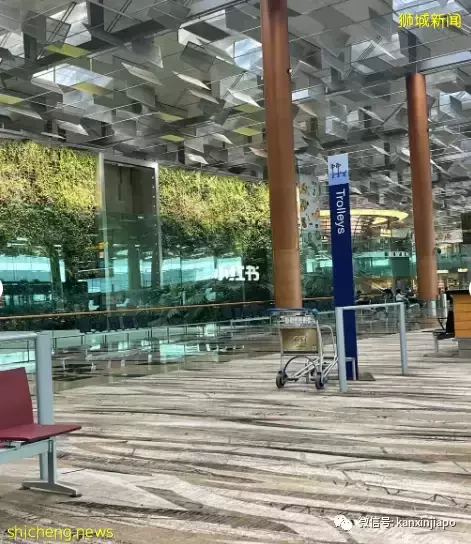 当前最热回国路实测！英国一新加坡一香港一内地，离深圳一步之遥