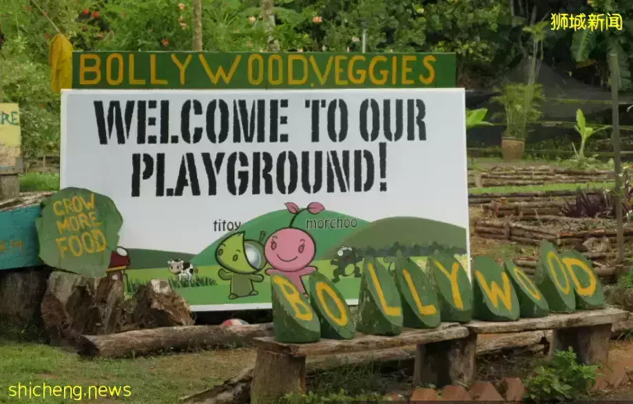 下水抓蛙、摘菜摸鱼、开土摩托……我带娃体验了一把新加坡的农家乐