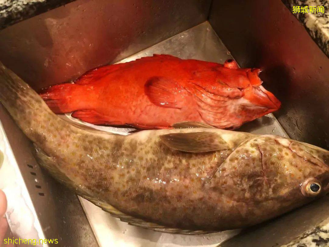 中國媽媽在普吉島陪讀，快樂教育、生活恣意，她爲什麽還要轉戰新加坡