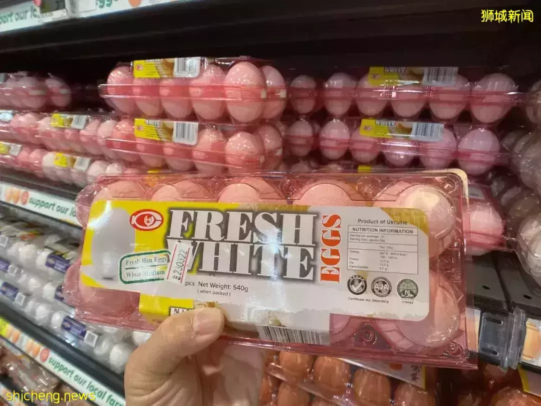 《战狼2》执行导演、新加坡前艺人沈倾掞:我会留在乌克兰照顾妻子一家