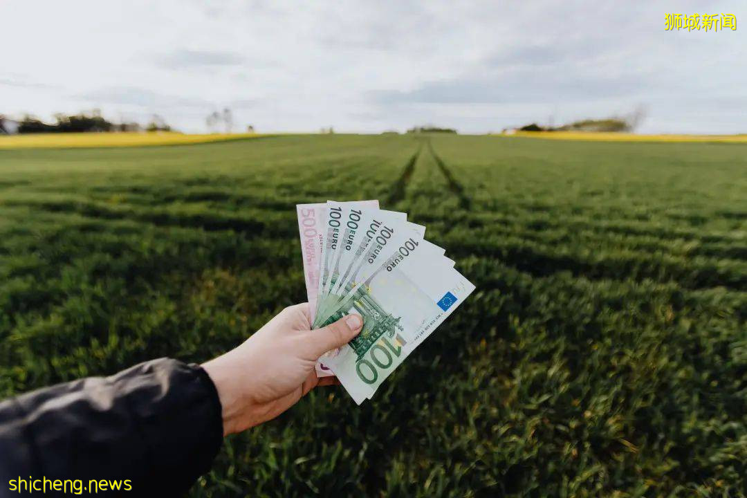 新加坡人力部 綠色金融、金融科技發展急需高科技技術人才