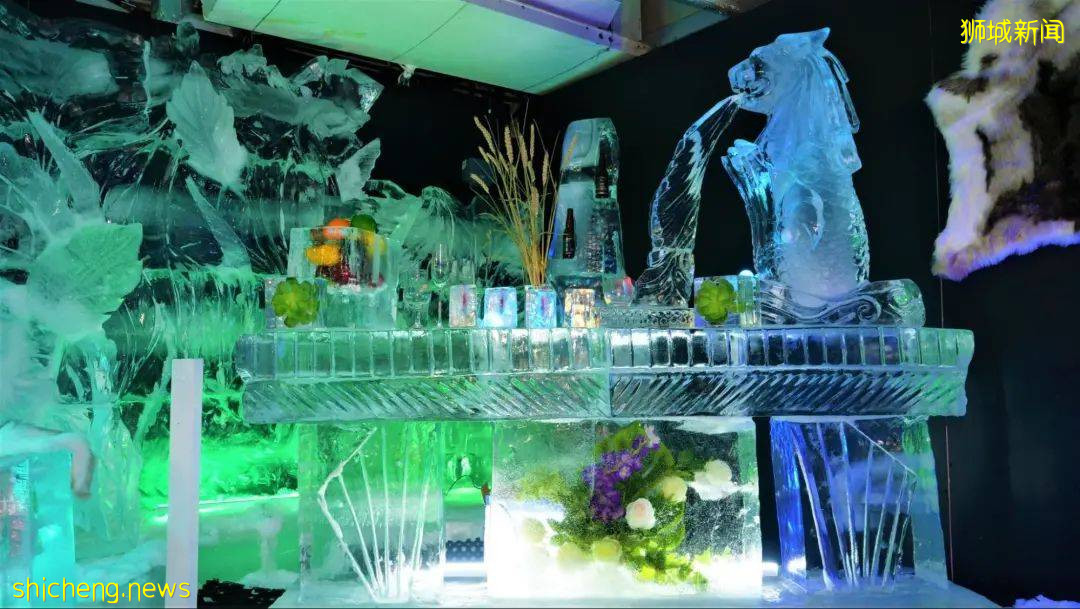 體驗新加坡的冬天！首個冰雪展來襲，看冰雕、喝冰飲、打雪仗